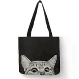 blackcat