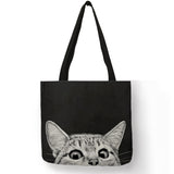 blackcat