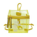 Transparent Backpack